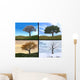 Four Seasons Wall Decal