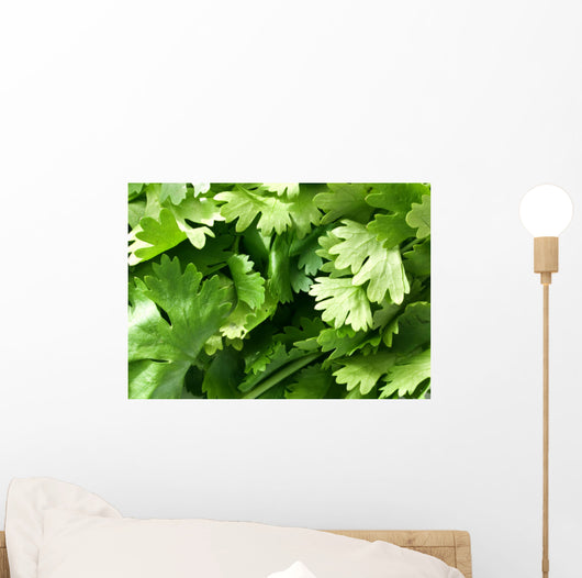 Coriander Leaves Wall Decal