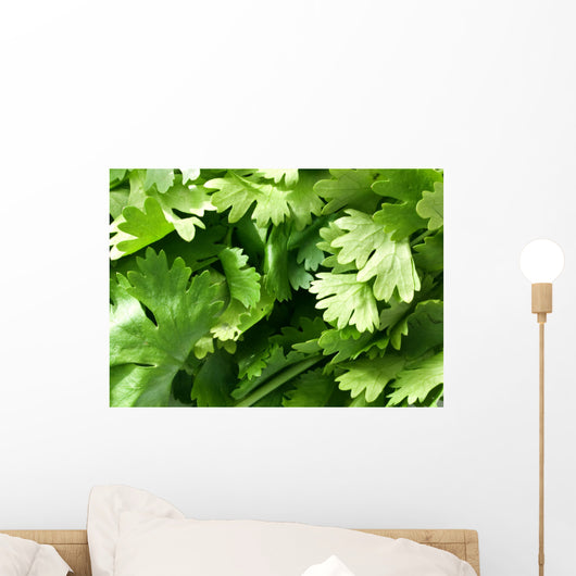 Coriander Leaves Wall Decal