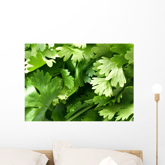 Coriander Leaves Wall Decal