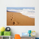 Human Footprints Leading Away Wall Decal