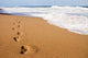Human Footprints Leading Away Wall Decal