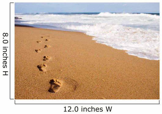 Human Footprints Leading Away Wall Decal