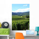 Vineyard-France Wall Decal