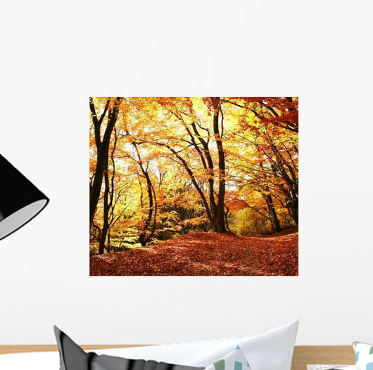 Autumn Scene Wall Mural