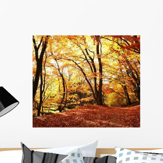 Autumn Scene Wall Mural