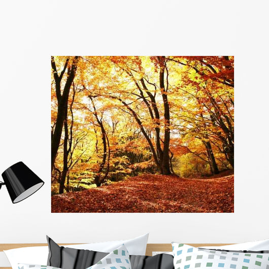 Autumn Scene Wall Mural