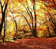 Autumn Scene Wall Mural