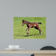 Foals Gallop Wall Decal