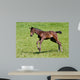Foals Gallop Wall Decal