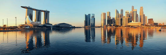 Singapore Skyline Wall Decal