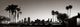 San Diego Morning Wall Decal