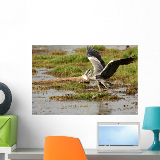 Il Pranzo Dell'airone Wall Decal