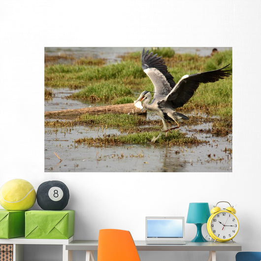 Il Pranzo Dell'airone Wall Decal