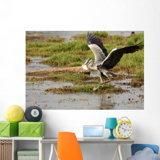 Il Pranzo Dell'airone Wall Decal