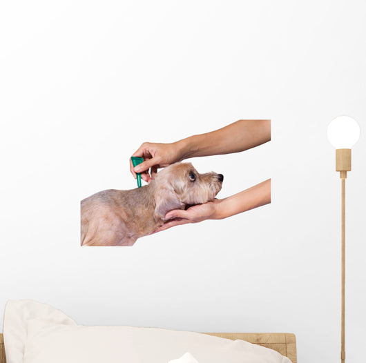 Tick and Flea Prevention Wall Decal