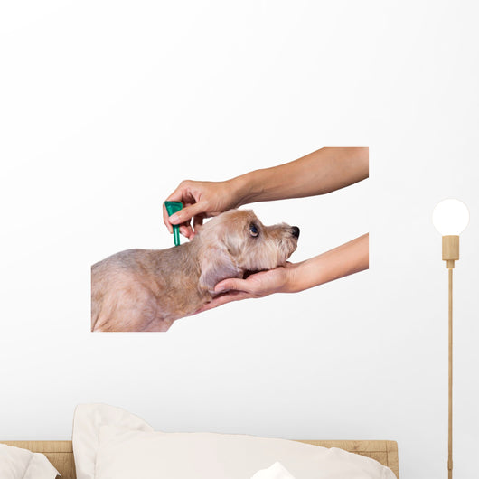 Tick and Flea Prevention Wall Decal
