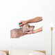 Tick and Flea Prevention Wall Decal