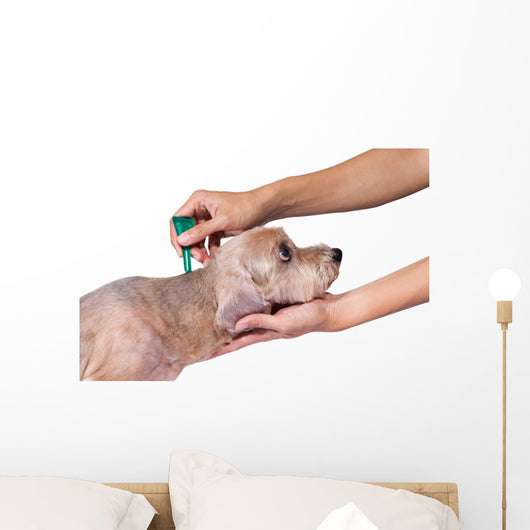 Tick and Flea Prevention Wall Decal