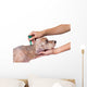 Tick and Flea Prevention Wall Decal