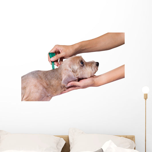 Tick and Flea Prevention Wall Decal
