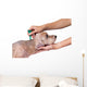Tick and Flea Prevention Wall Decal