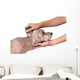 Tick and Flea Prevention Wall Decal