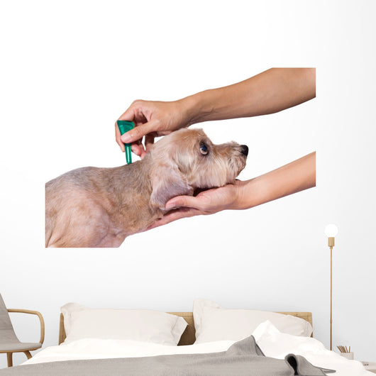 Tick and Flea Prevention Wall Decal