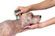 Tick and Flea Prevention Wall Decal