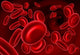 Red Blood Cells In Wall Decal