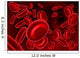 Red Blood Cells In Wall Decal