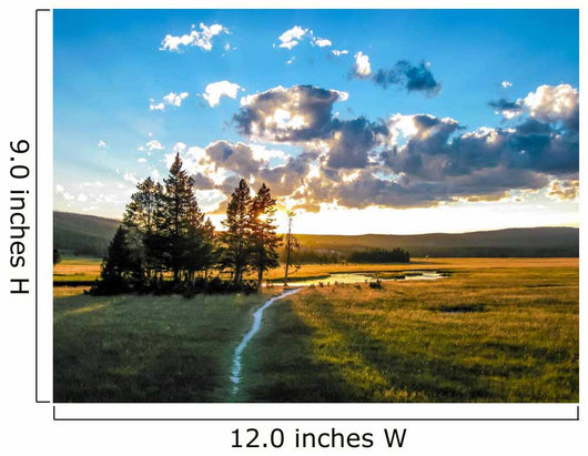 Yellowstone Green Plain Wall Decal
