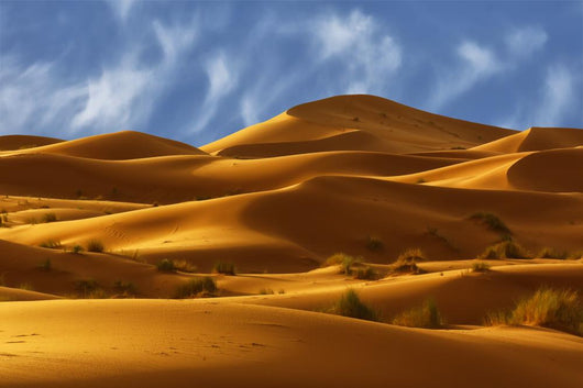 Dunes Sahara Desert Morocco Wall Decal