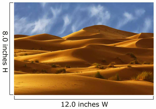 Dunes Sahara Desert Morocco Wall Decal