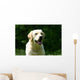White Labrador Countryside Wall Decal