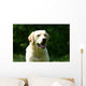 White Labrador Countryside Wall Decal