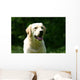 White Labrador Countryside Wall Decal