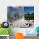 white Lady' Geyser near Wall Decal