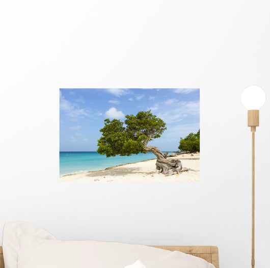 Divi Divi Tree Caribbean Wall Decal