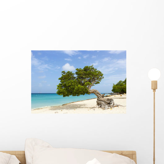 Divi Divi Tree Caribbean Wall Decal