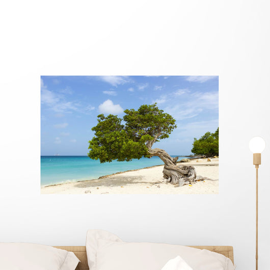 Divi Divi Tree Caribbean Wall Decal