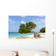 Divi Divi Tree Caribbean Wall Decal