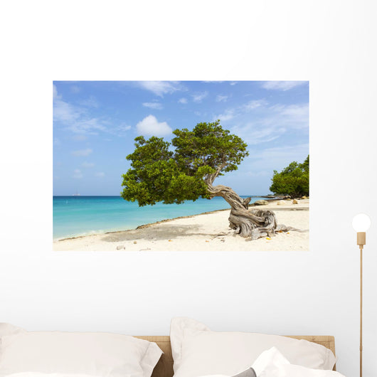 Divi Divi Tree Caribbean Wall Decal