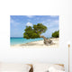 Divi Divi Tree Caribbean Wall Decal
