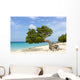 Divi Divi Tree Caribbean Wall Decal