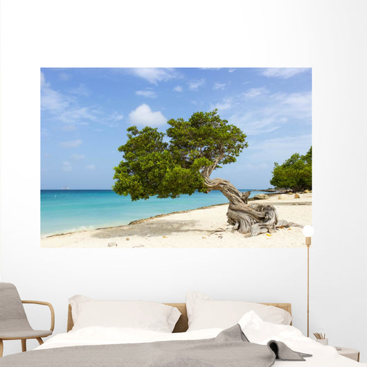 Divi Divi Tree Caribbean Wall Decal
