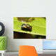 Small Bug and Insect Wall Decal