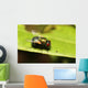 Small Bug and Insect Wall Decal