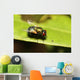 Small Bug and Insect Wall Decal