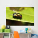 Small Bug and Insect Wall Decal